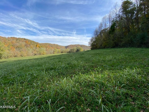 Tiny photo for 311 Ross Cemetery Rd, Rocky Top, TN 37769 (MLS # 1174105)