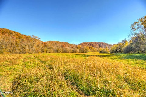 Tiny photo for 311 Ross Cemetery Rd, Rocky Top, TN 37769 (MLS # 1174105)