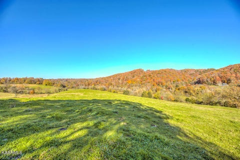 Tiny photo for 311 Ross Cemetery Rd, Rocky Top, TN 37769 (MLS # 1174105)