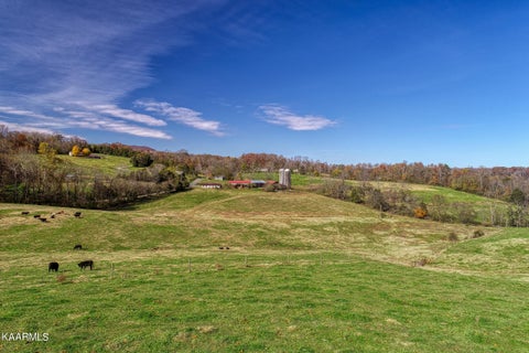 Tiny photo for 311 Ross Cemetery Rd, Rocky Top, TN 37769 (MLS # 1174105)