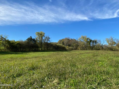 Tiny photo for 311 Ross Cemetery Rd, Rocky Top, TN 37769 (MLS # 1174105)