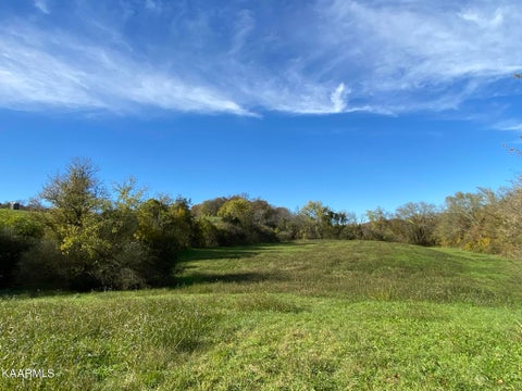 Tiny photo for 311 Ross Cemetery Rd, Rocky Top, TN 37769 (MLS # 1174105)