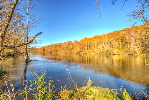 Tiny photo for 311 Ross Cemetery Rd, Rocky Top, TN 37769 (MLS # 1174105)