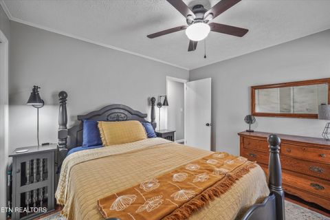 Tiny photo for 8225 Cricket Rd, Powell, TN 37849 (MLS # 1326929)