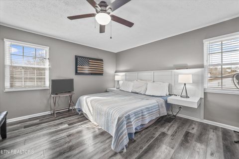 Tiny photo for 8225 Cricket Rd, Powell, TN 37849 (MLS # 1326929)