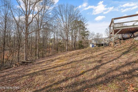 Tiny photo for 8225 Cricket Rd, Powell, TN 37849 (MLS # 1326929)