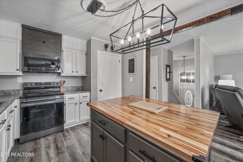 Tiny photo for 8225 Cricket Rd, Powell, TN 37849 (MLS # 1326929)