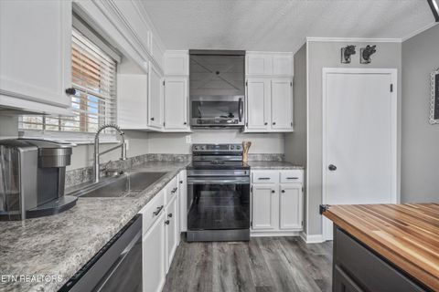 Tiny photo for 8225 Cricket Rd, Powell, TN 37849 (MLS # 1326929)