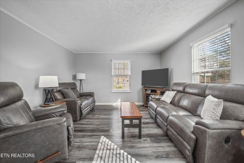 Tiny photo for 8225 Cricket Rd, Powell, TN 37849 (MLS # 1326929)