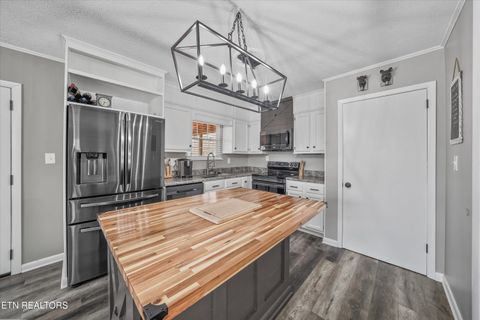 Tiny photo for 8225 Cricket Rd, Powell, TN 37849 (MLS # 1326929)