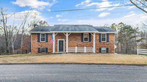 Tiny photo for 8225 Cricket Rd, Powell, TN 37849 (MLS # 1326929)