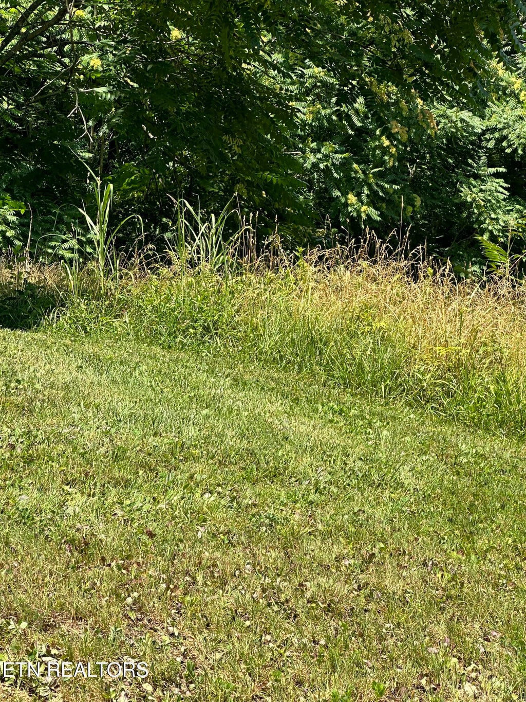 Photo of Bob Wright Lot 32 Rd, Maynardville, TN 37807 (MLS # 1352110)