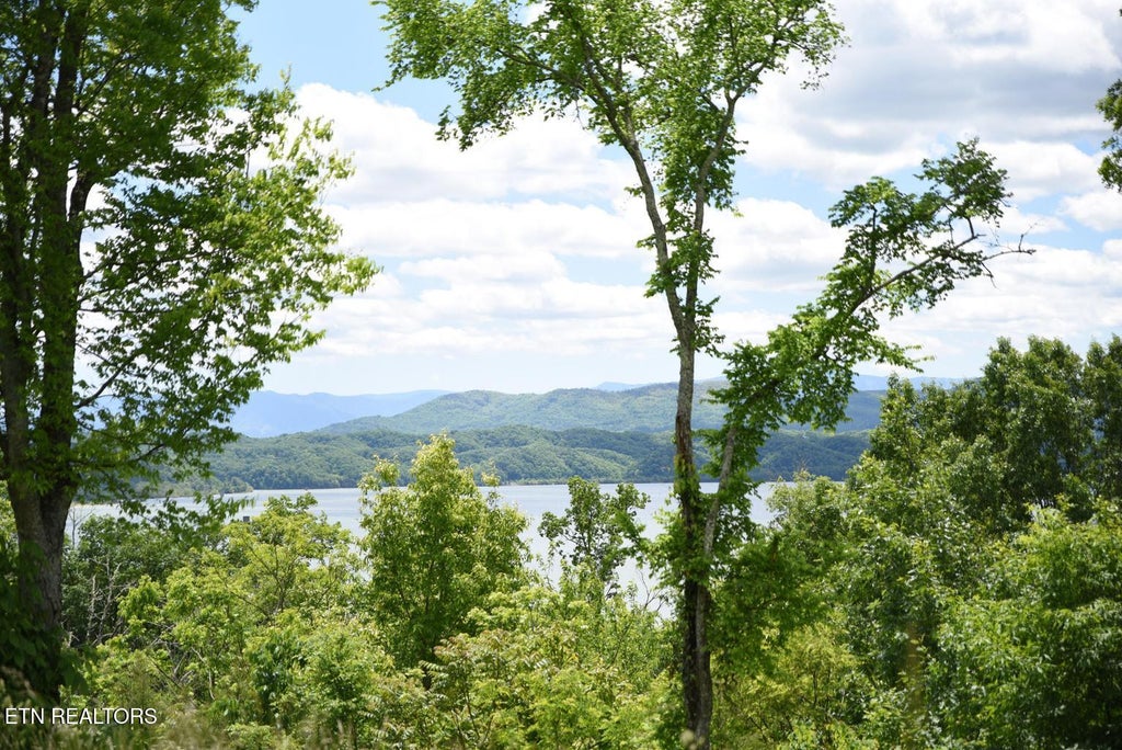 Photo of 5 Waterford Way, Newport, TN 37821 (MLS # 1354846)
