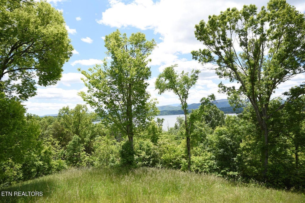 Photo of 5 Waterford Way, Newport, TN 37821 (MLS # 1354846)