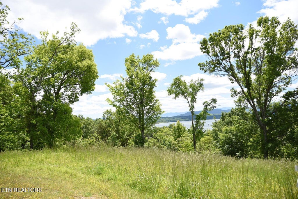 Photo of 5 Waterford Way, Newport, TN 37821 (MLS # 1354846)