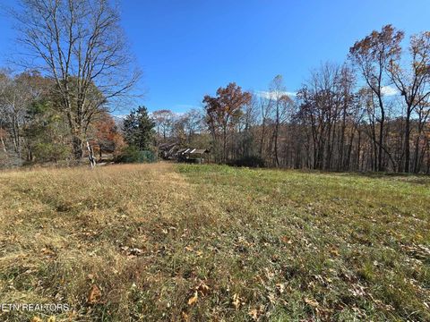 Tiny photo for 127 Lark Lane, LaFollette, TN 37766 (MLS # 1322802)