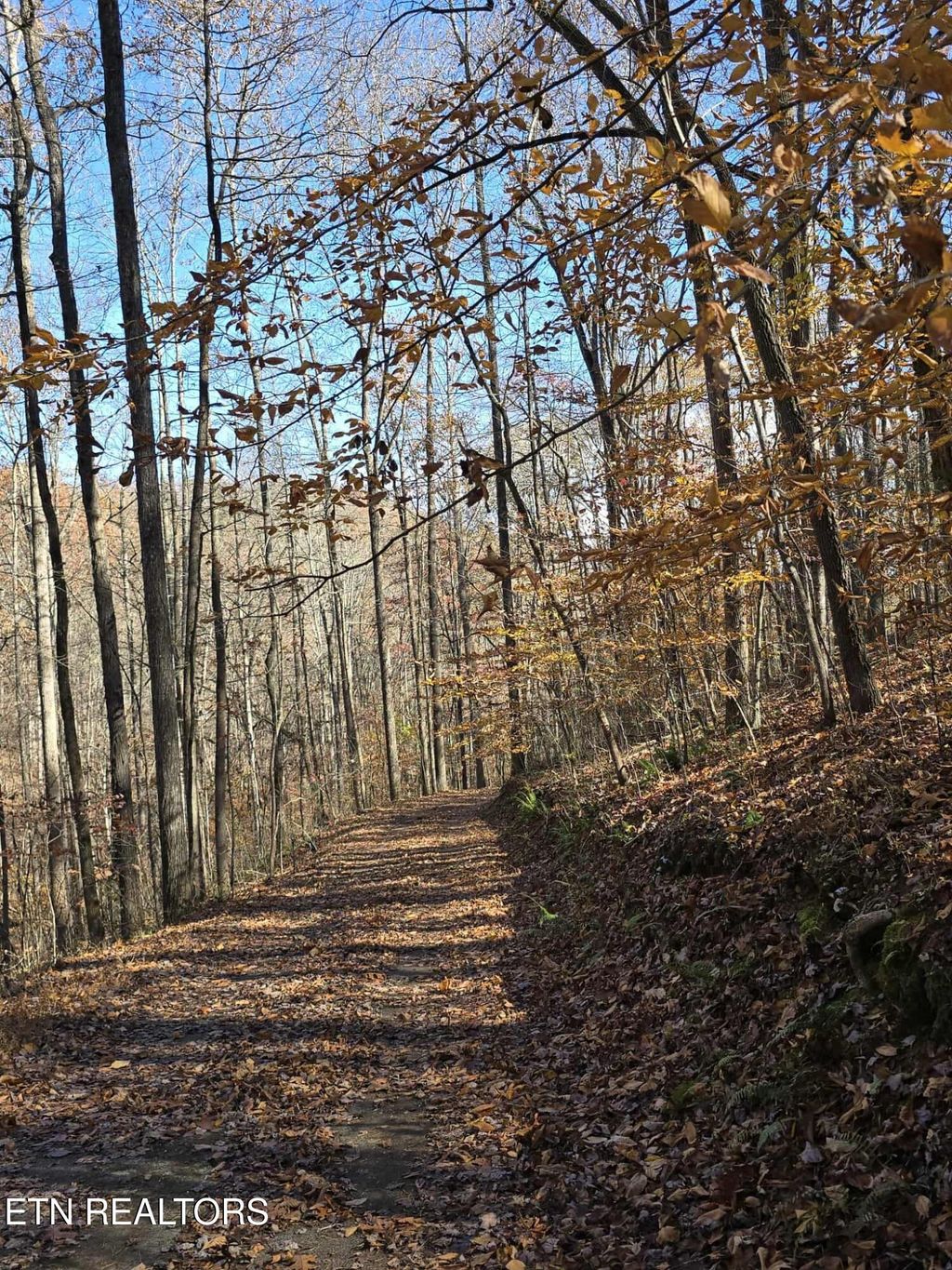 Photo of 127 Lark Lane, LaFollette, TN 37766 (MLS # 1322802)