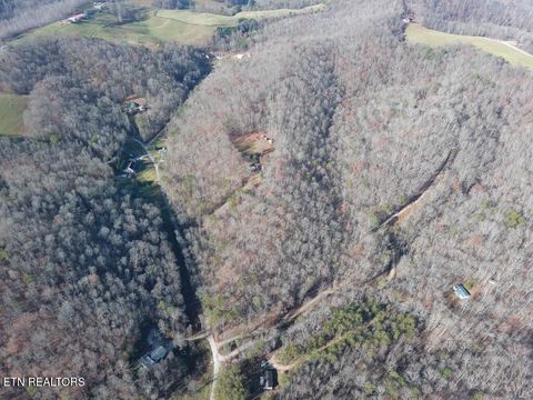 Tiny photo for 127 Lark Lane, LaFollette, TN 37766 (MLS # 1322802)