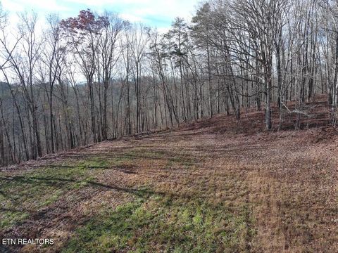 Tiny photo for 127 Lark Lane, LaFollette, TN 37766 (MLS # 1322802)