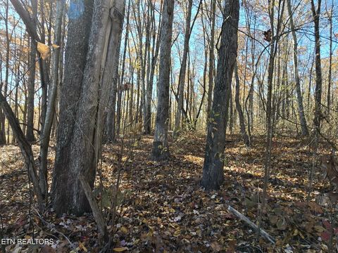 Tiny photo for 127 Lark Lane, LaFollette, TN 37766 (MLS # 1322802)