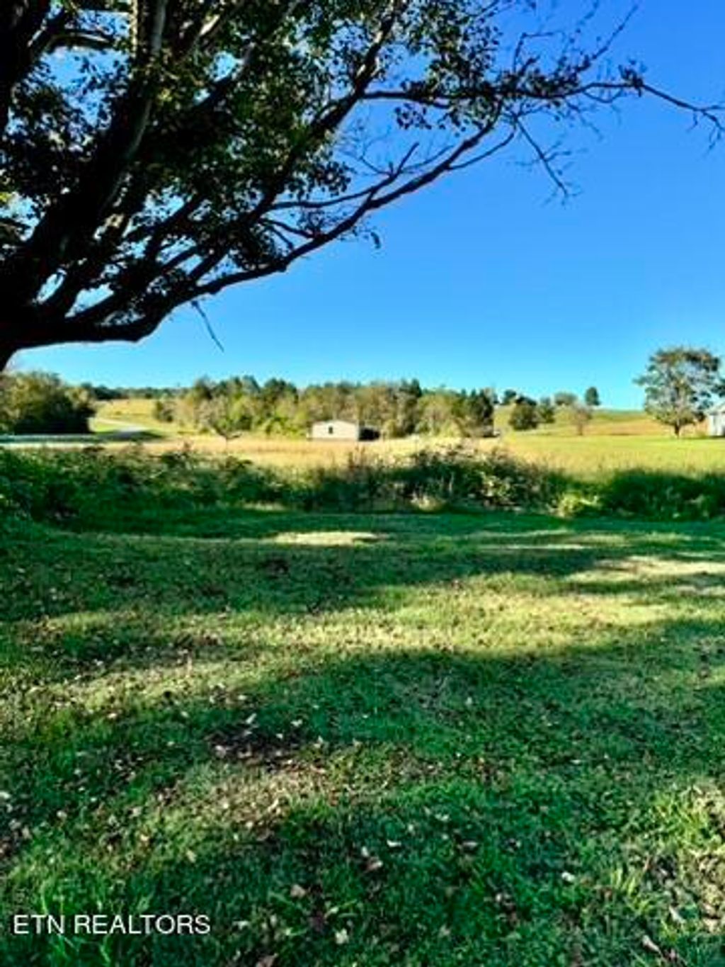 Photo of 901 Beeler Loop Road Rd, Greenback, TN 37742 (MLS # 1279420)