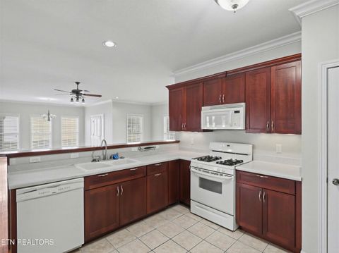 Tiny photo for 109 Trillium Drive, Andersonville, TN 37705 (MLS # 1328060)