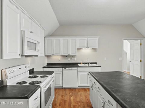 Tiny photo for 109 Trillium Drive, Andersonville, TN 37705 (MLS # 1328060)