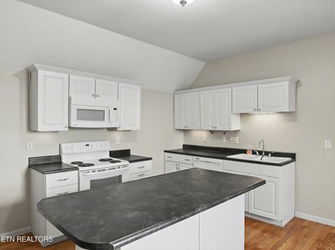 Tiny photo for 109 Trillium Drive, Andersonville, TN 37705 (MLS # 1328060)