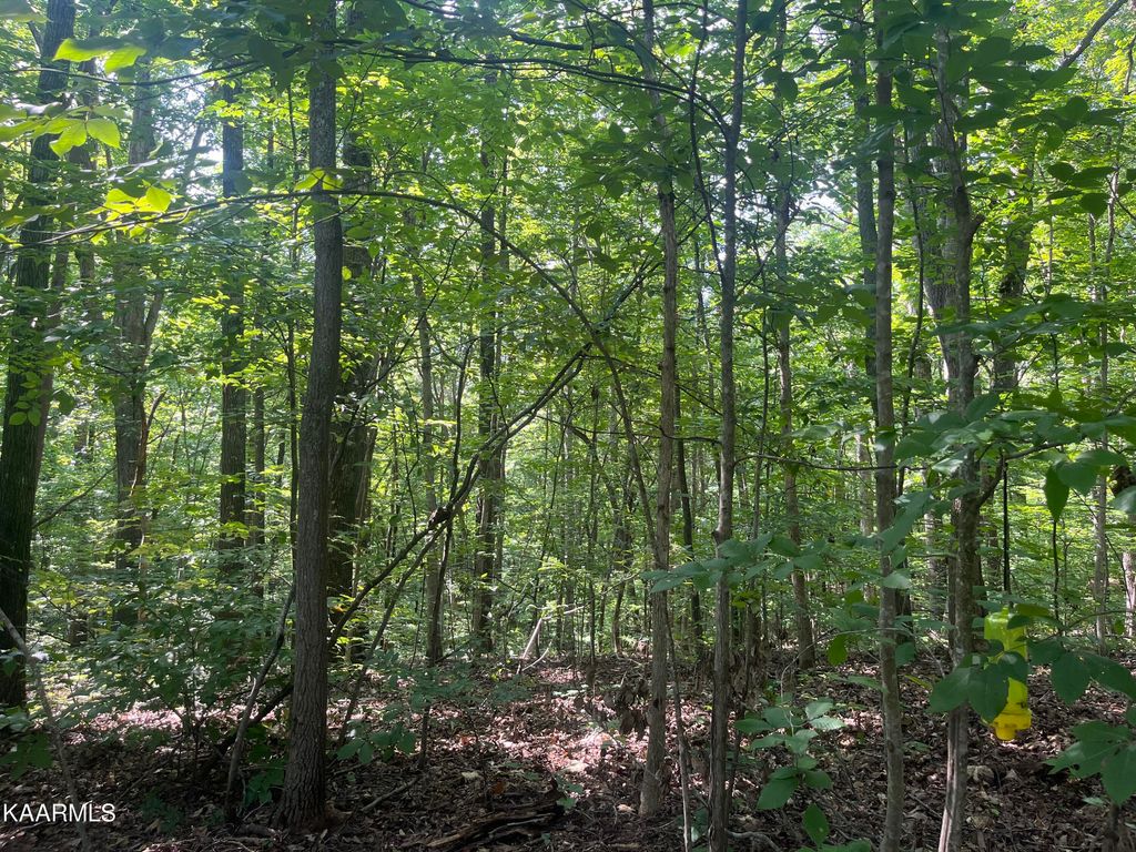 Photo of 9401 Jim Loy Drive, Strawberry Plains, TN 37871 (MLS # 1236989)