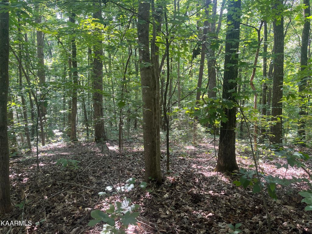 Photo of 9401 Jim Loy Drive, Strawberry Plains, TN 37871 (MLS # 1236989)