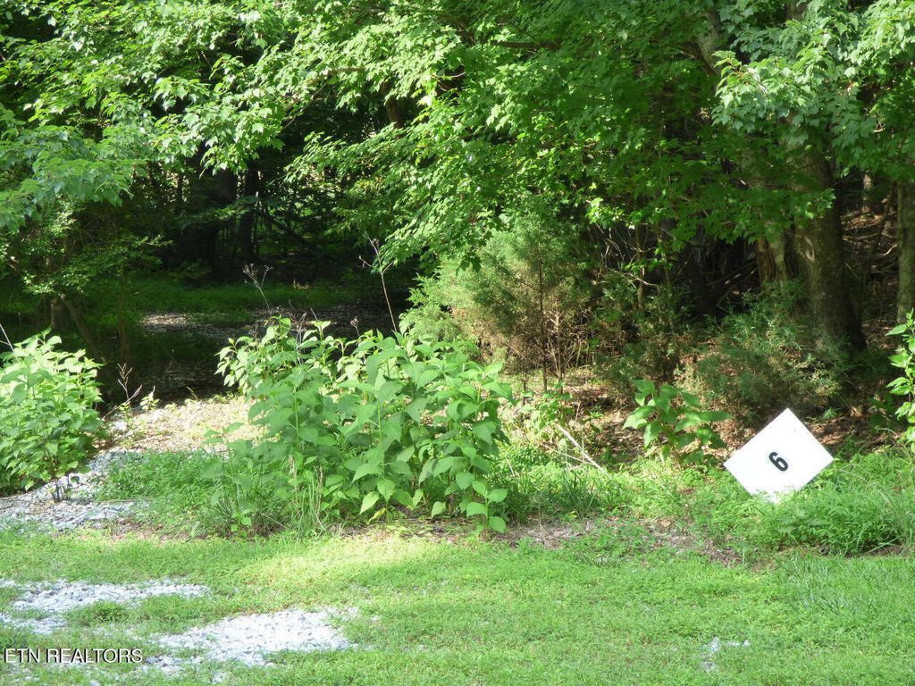 Photo of 6 Cove Springs Drive, Dandridge, TN 37725 (MLS # 1304667)