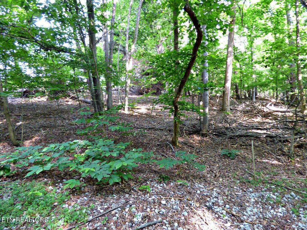 Photo of 6 Cove Springs Drive, Dandridge, TN 37725 (MLS # 1304667)