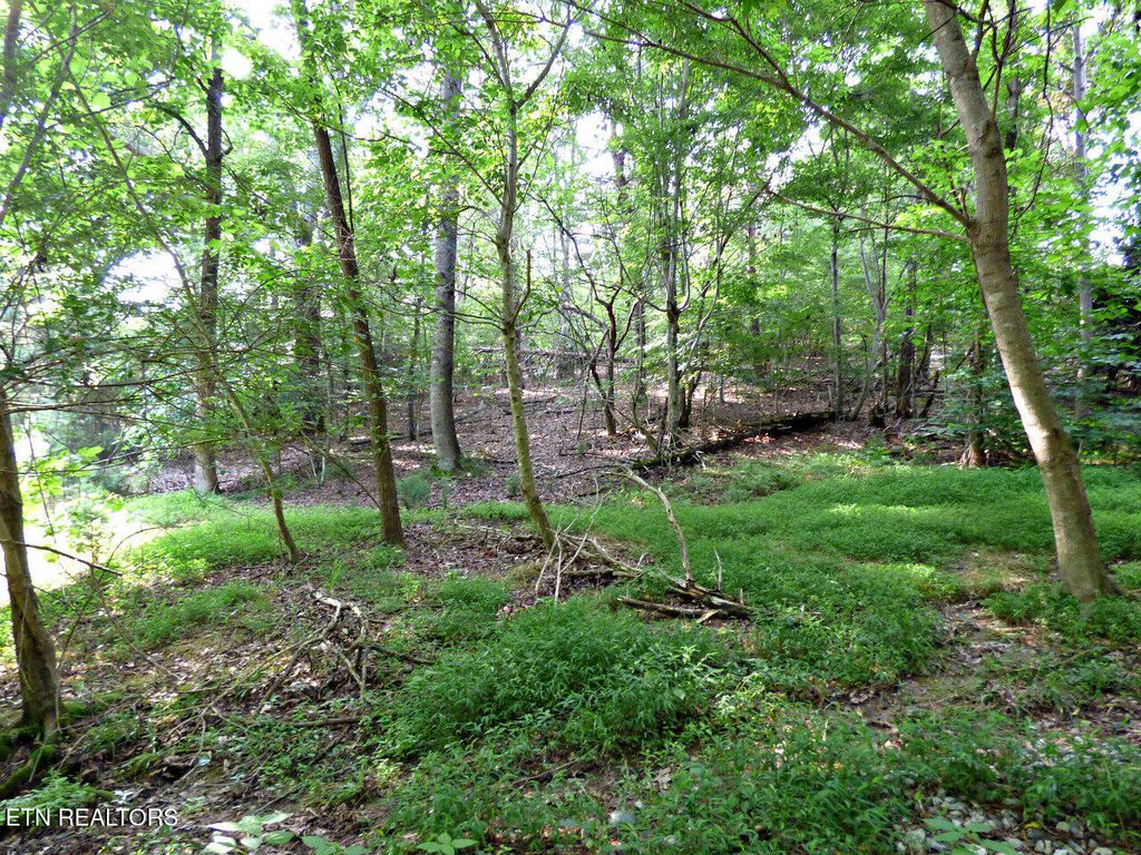 Photo of 6 Cove Springs Drive, Dandridge, TN 37725 (MLS # 1304667)