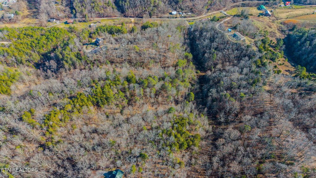 Photo of 2303 Reagan Branch Rd, Seymour, TN 37865 (MLS # 1325578)