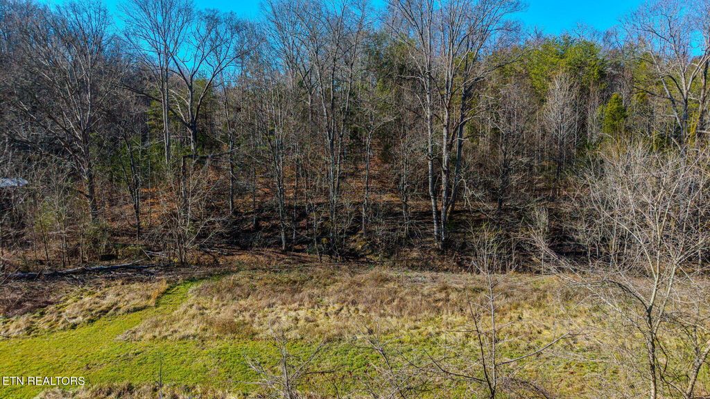 Photo of 2303 Reagan Branch Rd, Seymour, TN 37865 (MLS # 1325578)