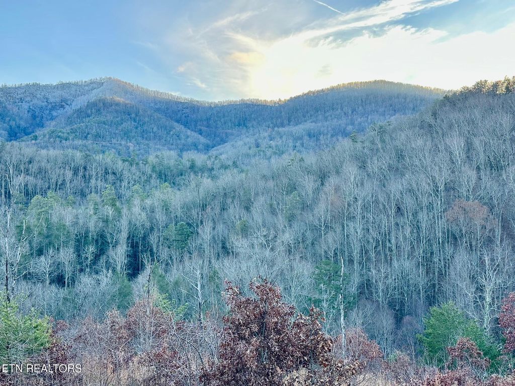 Photo of 1611 Mountain Dreams Way, Pigeon Forge, TN 37862 (MLS # 1323957)