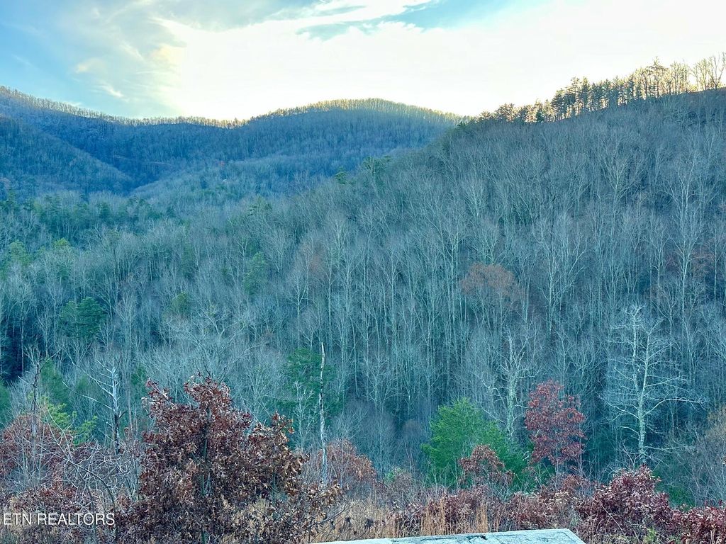 Photo of 1611 Mountain Dreams Way, Pigeon Forge, TN 37862 (MLS # 1323957)