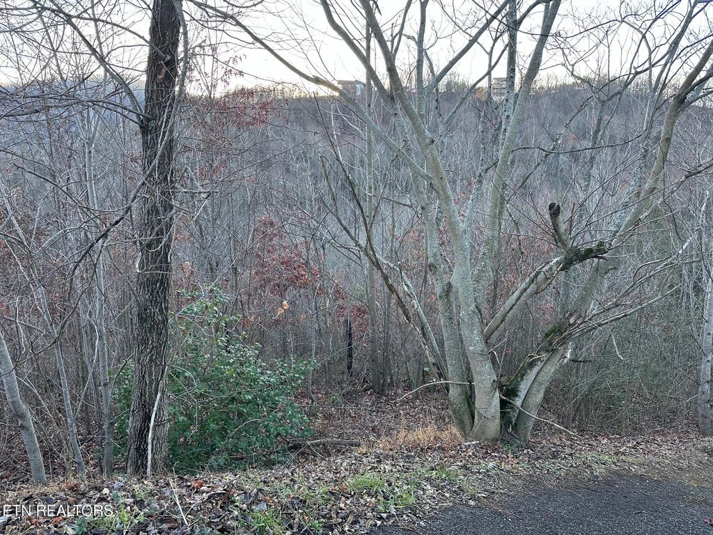 Photo of 1611 Mountain Dreams Way, Pigeon Forge, TN 37862 (MLS # 1323957)