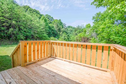 Tiny photo for 1587 Lower Caney Valley Rd, Tazewell, TN 37879 (MLS # 1347237)