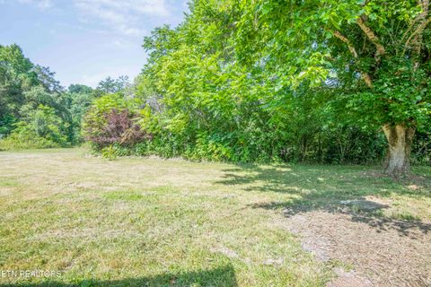 Tiny photo for 1587 Lower Caney Valley Rd, Tazewell, TN 37879 (MLS # 1347237)