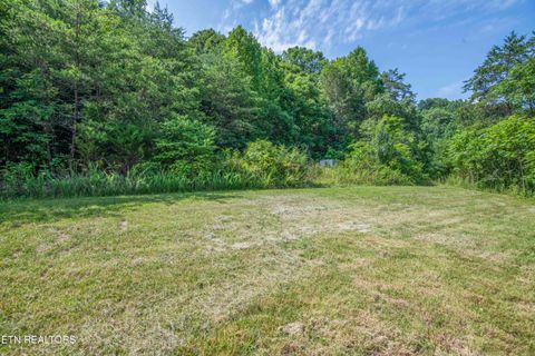 Tiny photo for 1587 Lower Caney Valley Rd, Tazewell, TN 37879 (MLS # 1347237)