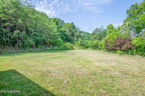 Tiny photo for 1587 Lower Caney Valley Rd, Tazewell, TN 37879 (MLS # 1347237)