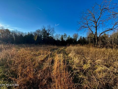 Photo of Four Mile Creek Rd, Deer Lodge, TN 37726 (MLS # 1324761)