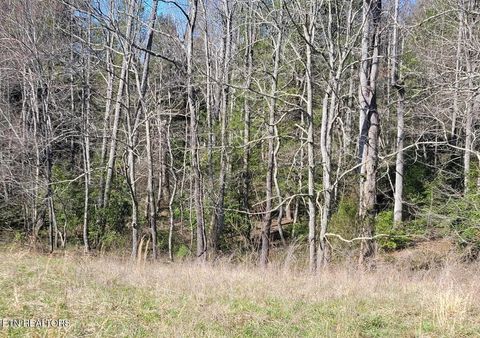 Tiny photo for Four Mile Creek Rd, Deer Lodge, TN 37726 (MLS # 1324761)