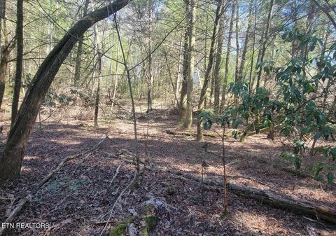 Tiny photo for Four Mile Creek Rd, Deer Lodge, TN 37726 (MLS # 1324761)