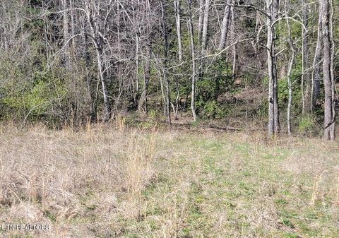 Tiny photo for Four Mile Creek Rd, Deer Lodge, TN 37726 (MLS # 1324761)