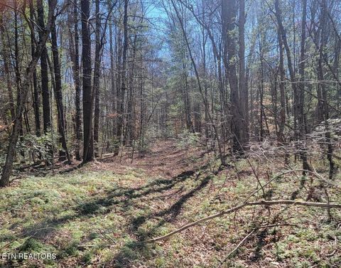 Tiny photo for Four Mile Creek Rd, Deer Lodge, TN 37726 (MLS # 1324761)