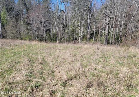 Tiny photo for Four Mile Creek Rd, Deer Lodge, TN 37726 (MLS # 1324761)