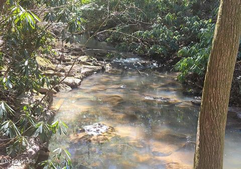 Tiny photo for Four Mile Creek Rd, Deer Lodge, TN 37726 (MLS # 1324761)