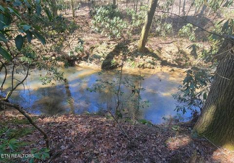 Tiny photo for Four Mile Creek Rd, Deer Lodge, TN 37726 (MLS # 1324761)